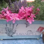 Apartamento Sverko