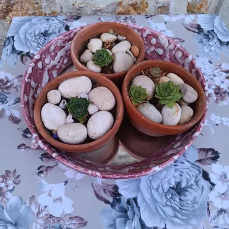 Sverko Apartamento *