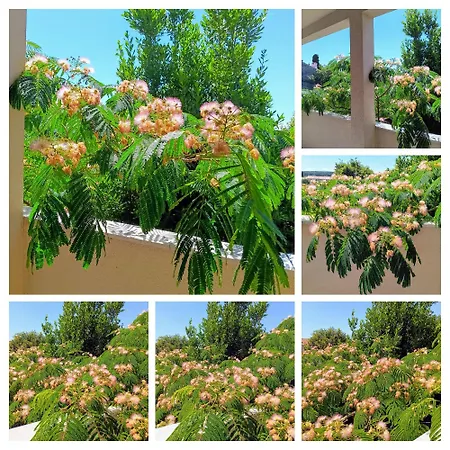 Apartamento Sverko *